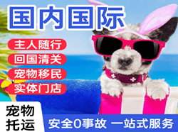包头机场邮寄国际宠物托运 【国